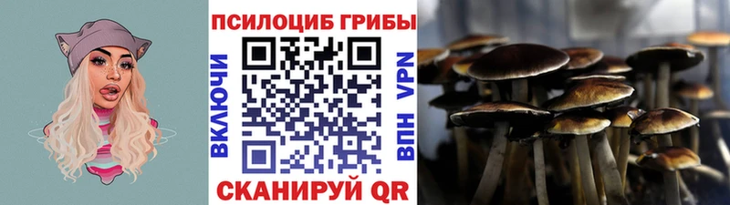 Псилоцибиновые грибы Cubensis  Острогожск 
