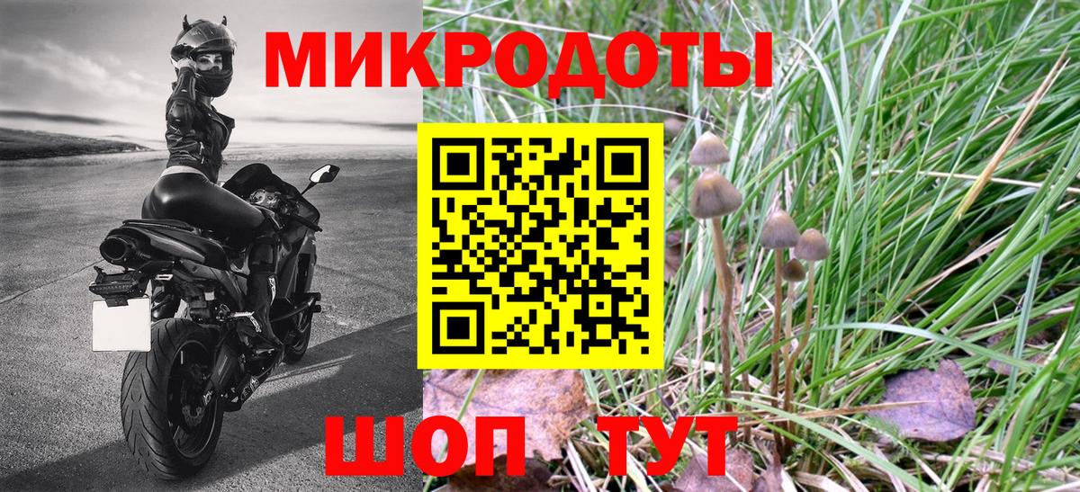 Галлюциногенные грибы Magic Shrooms Острогожск