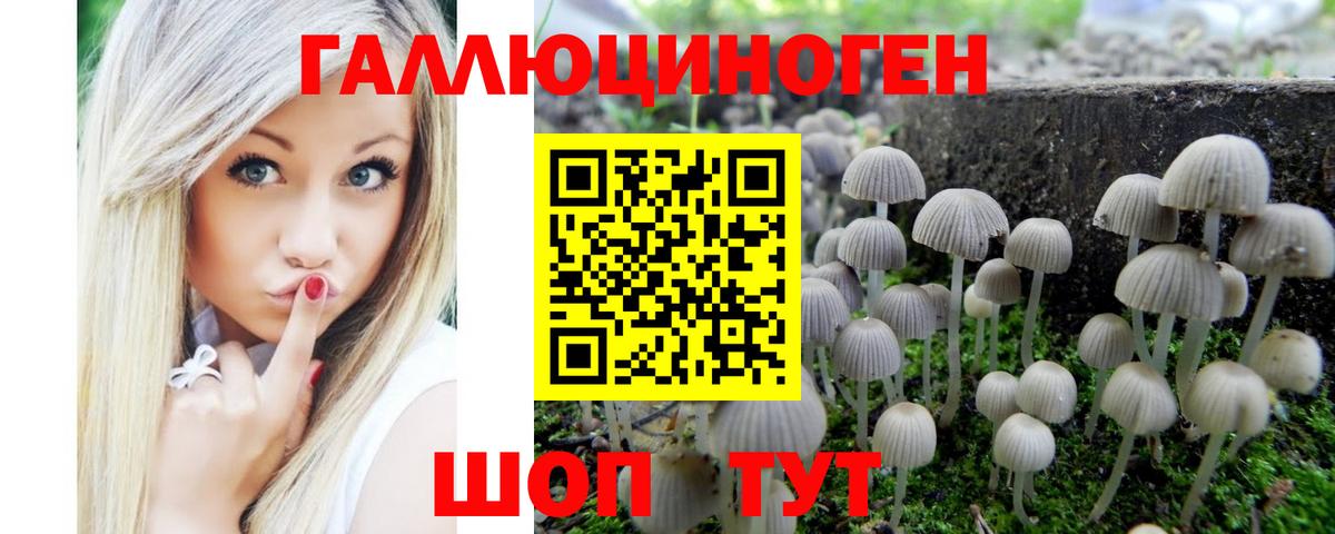 Галлюциногенные грибы мухоморы  купить наркоту  Острогожск  Вход с VPN 